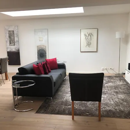 Amazing Maisonette Flat In The Old Town - Waldmann Daire Zürih