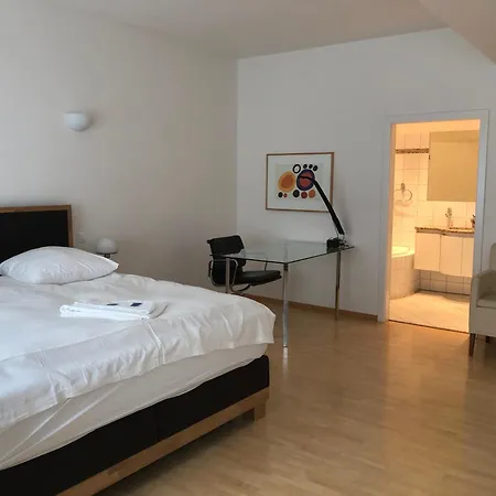 Daire Amazing Maisonette Flat In The Old Town - Waldmann Zürih